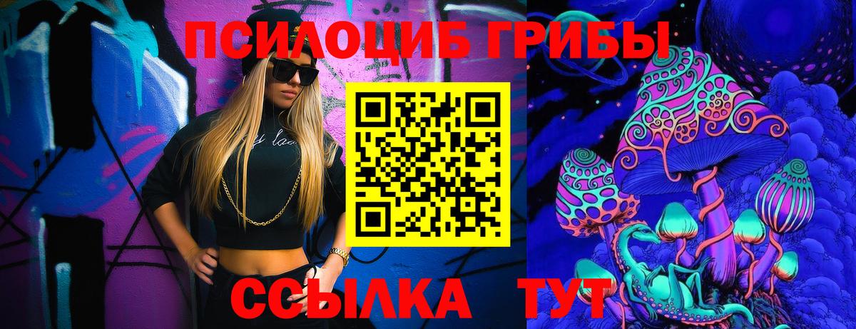 Галлюциногенные грибы Psilocybe Лангепас